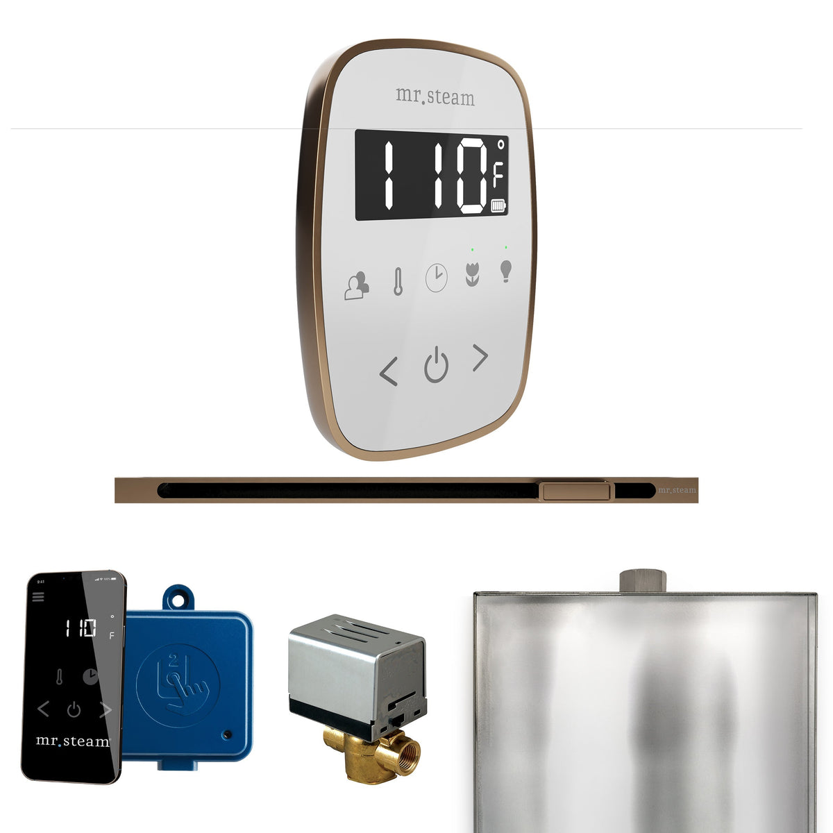 Mr. Steam ButlerFlex Steam Shower Control Package with TempoFlex Control and Linear Steamhead