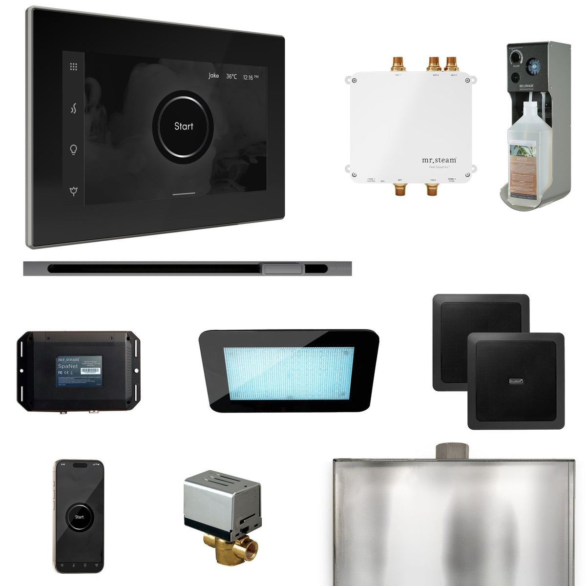 Mr. Steam Bliss Steam Shower Control Package with iSteamX Control and Linear Steamhead