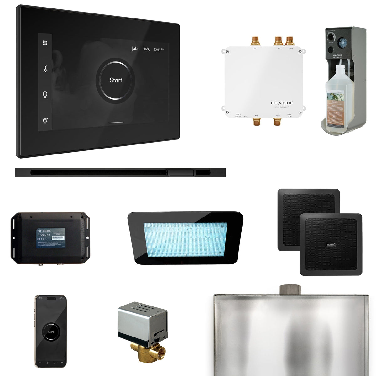 Mr. Steam Bliss Steam Shower Control Package with iSteamX Control and Linear Steamhead