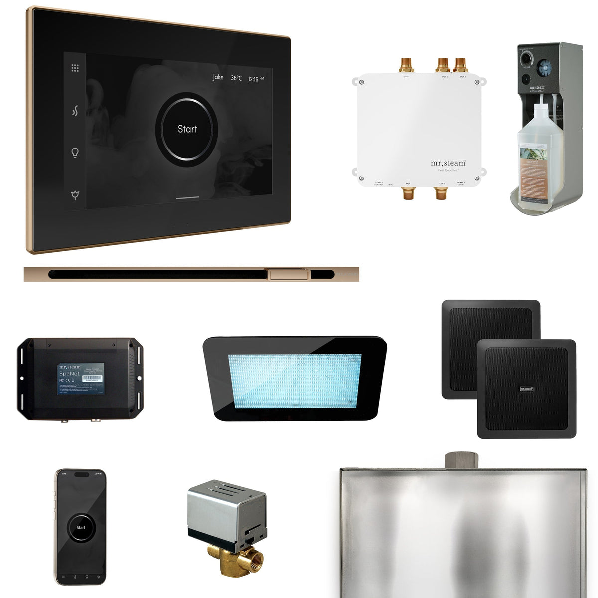 Mr. Steam Bliss Steam Shower Control Package with iSteamX Control and Linear Steamhead