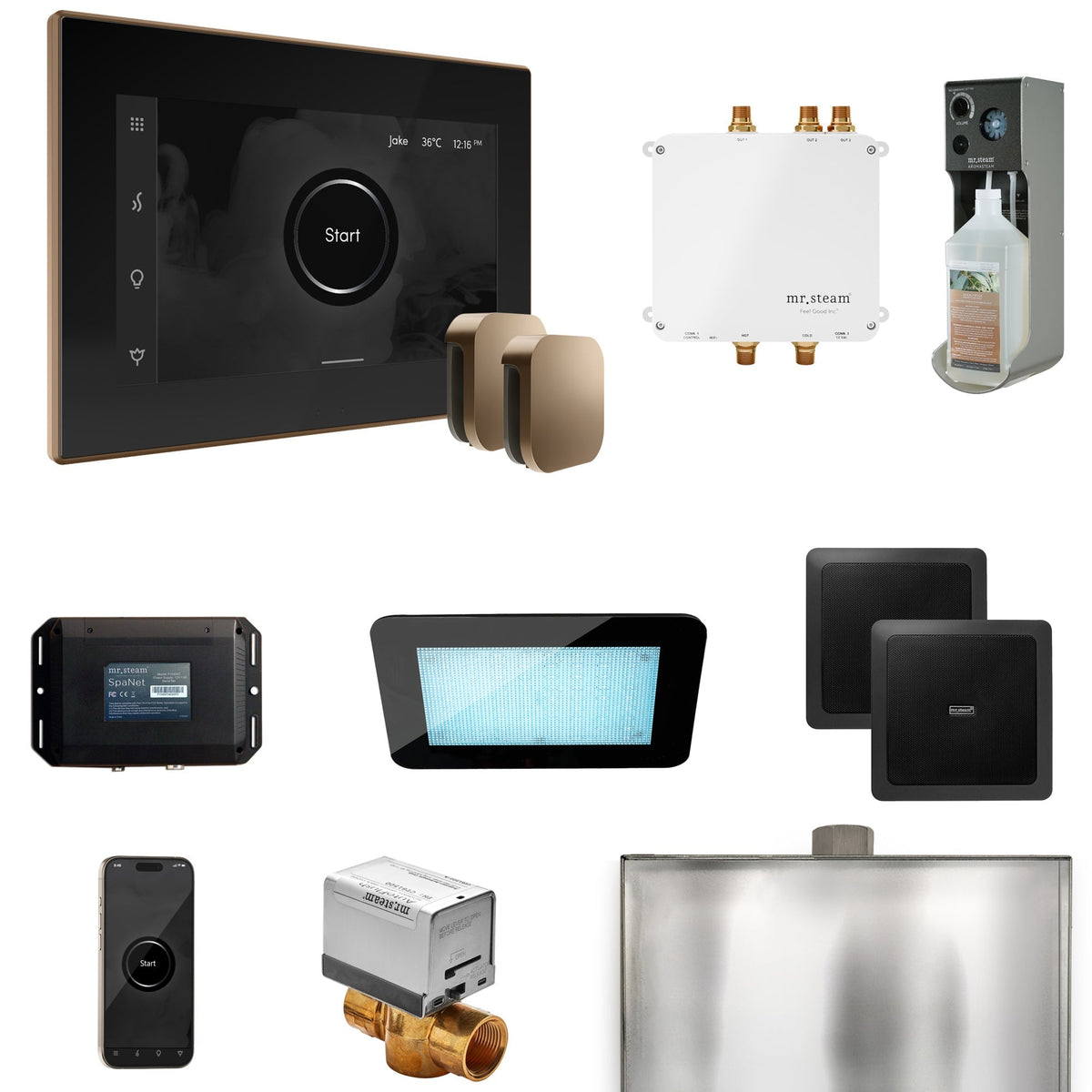 Mr. Steam Bliss Max Steam Shower Control Package with iSteamX Control and Steamhead