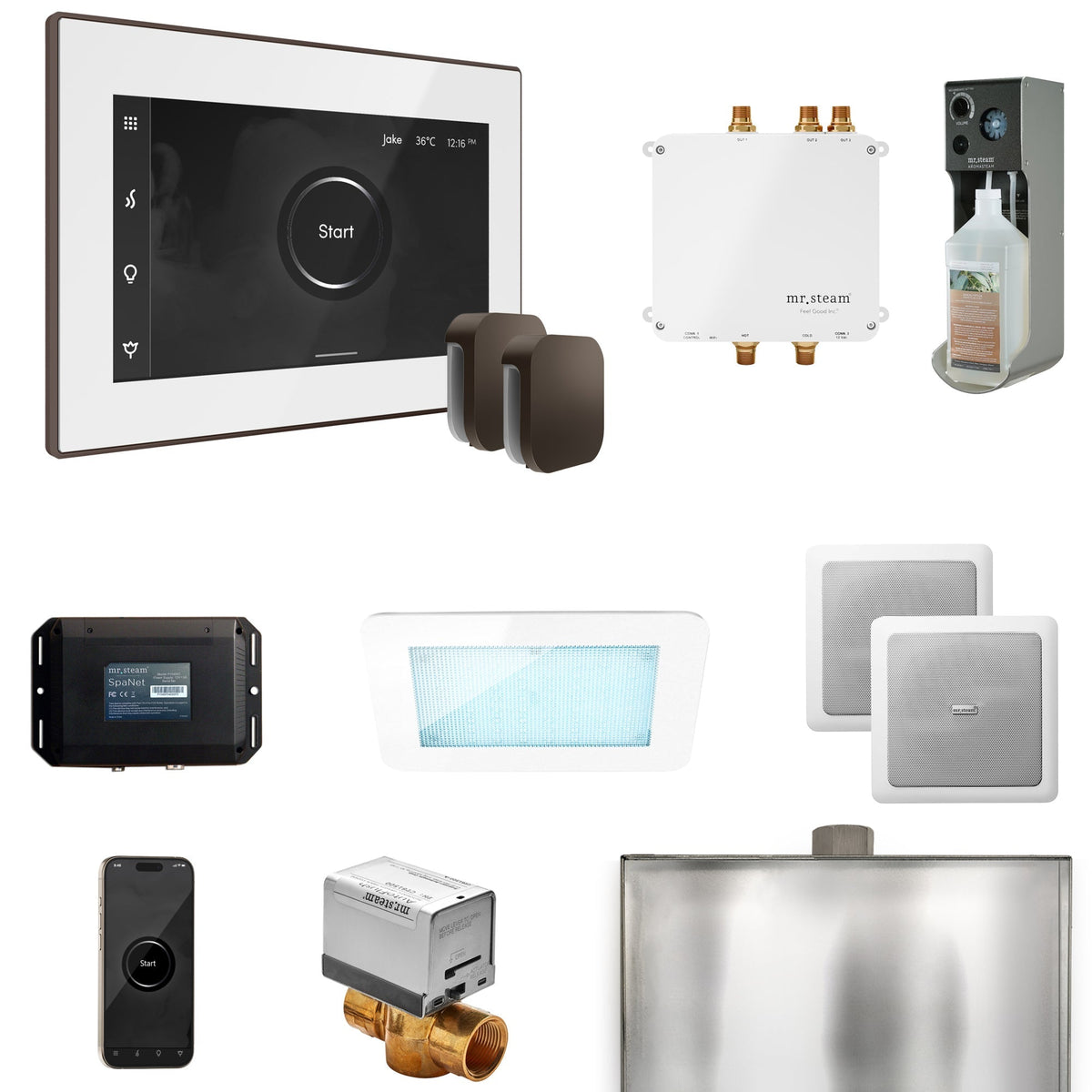 Mr. Steam Bliss Max Steam Shower Control Package with iSteamX Control and Steamhead