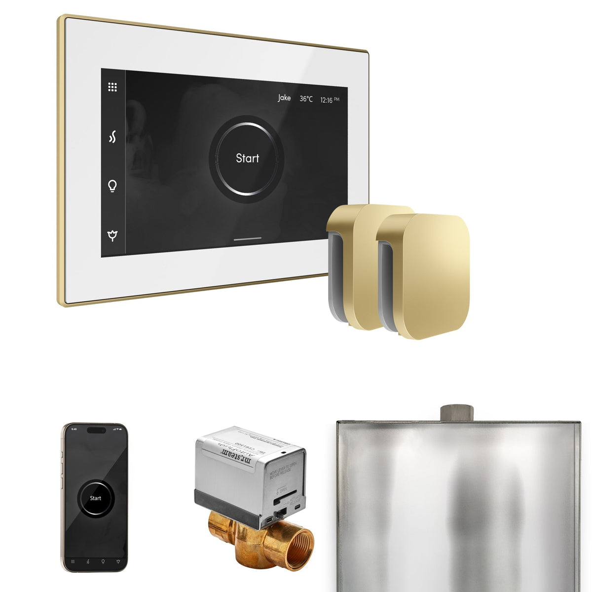 Mr. Steam XButler Max Steam Shower Control Package with iSteamX Control and Steamhead