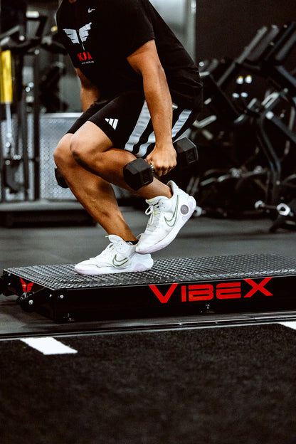 VibeX Whole-Body Vibration Platform