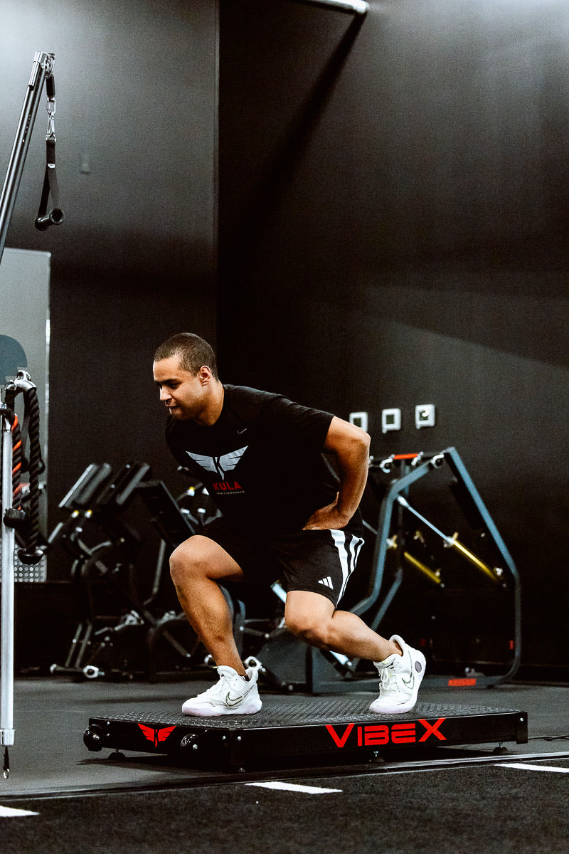 VibeX Whole-Body Vibration Platform